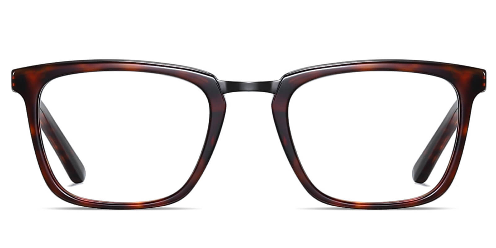 EYE8068-Diven-Écaille