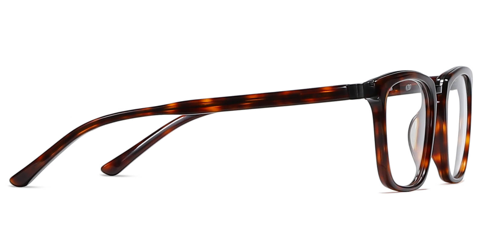 EYE8068-Diven-Écaille