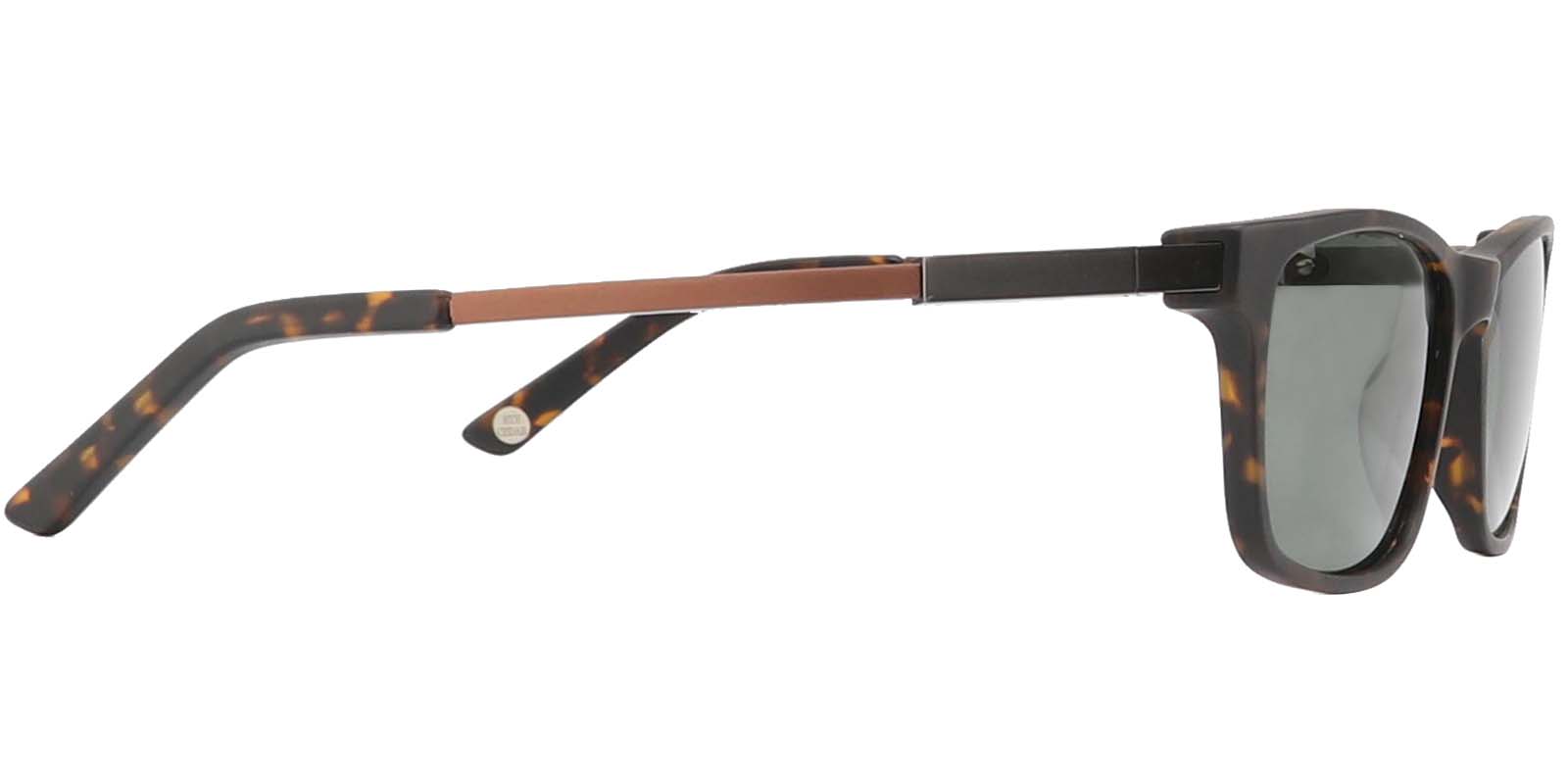 EYE8062-1S-Bligory-Écaille