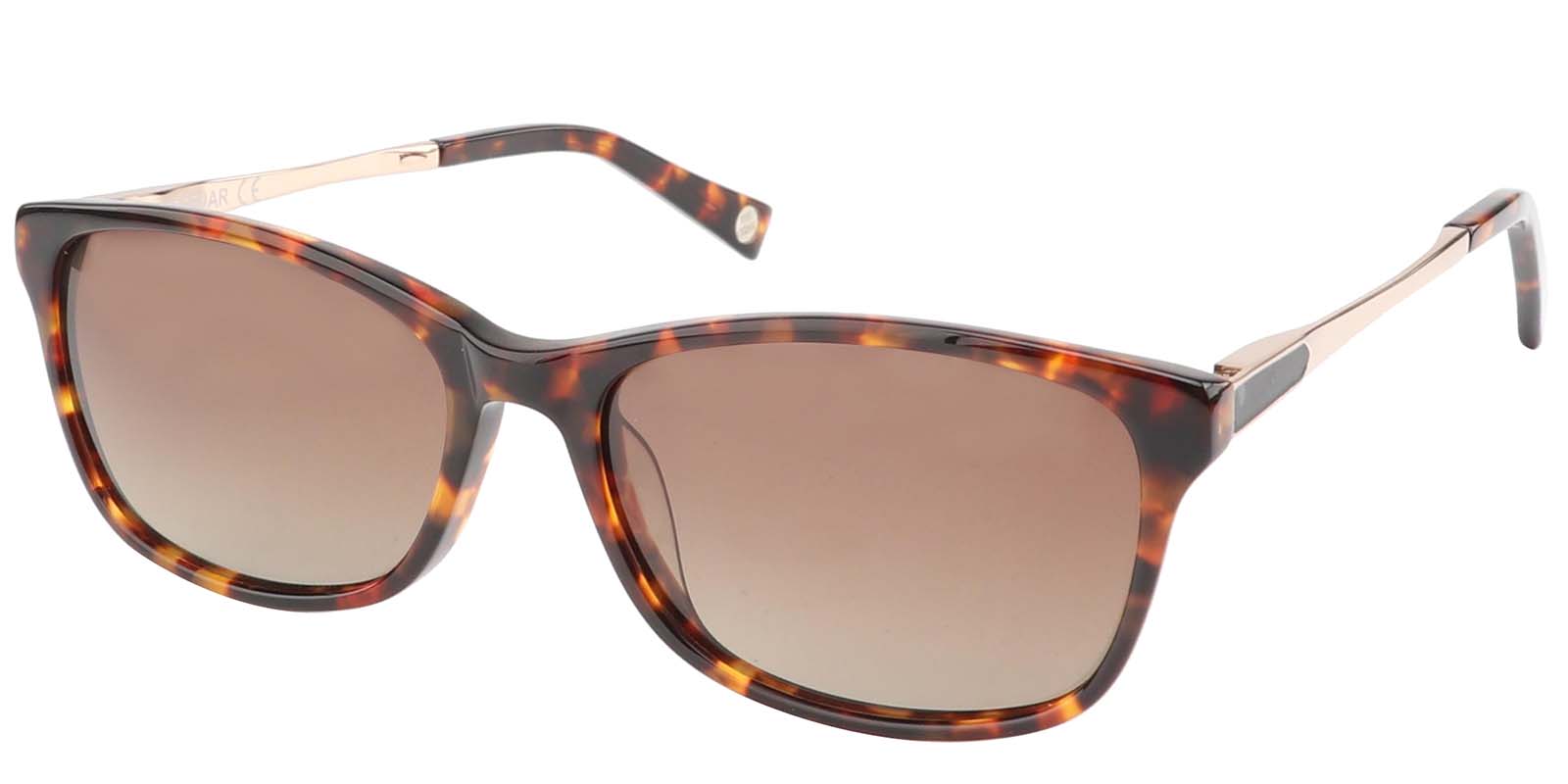 EYE8029S-Varemoda-marron