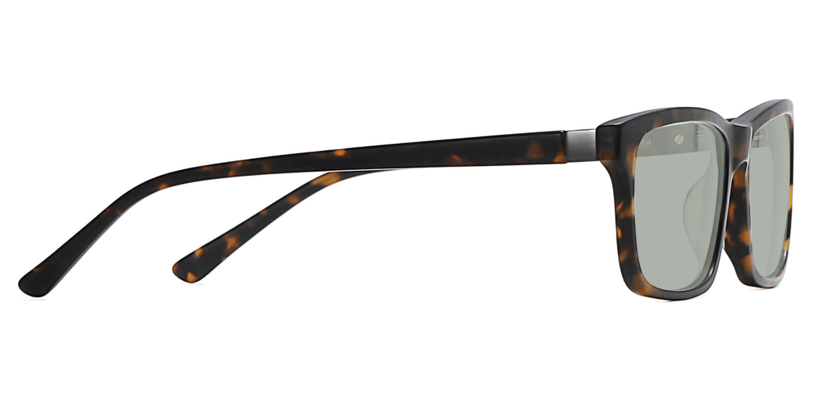 EYE8078S-Sunth-Écaille